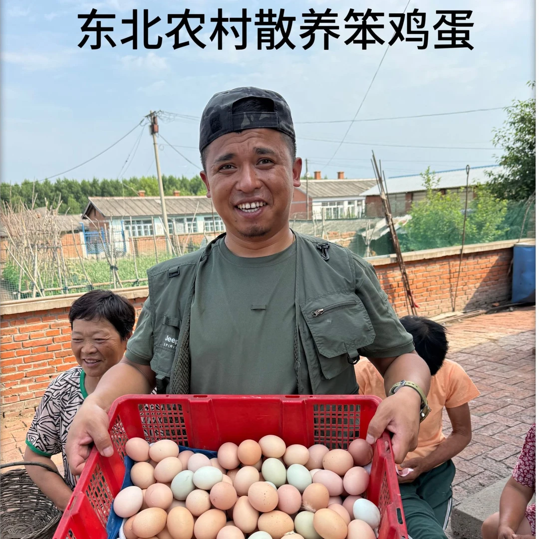 50枚 东北散养笨鸡蛋 土鸡蛋