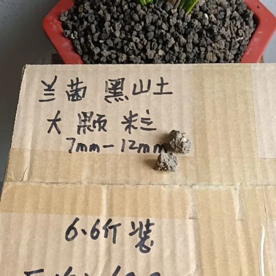 三***哥兰菌黑山土大颗粒6.6