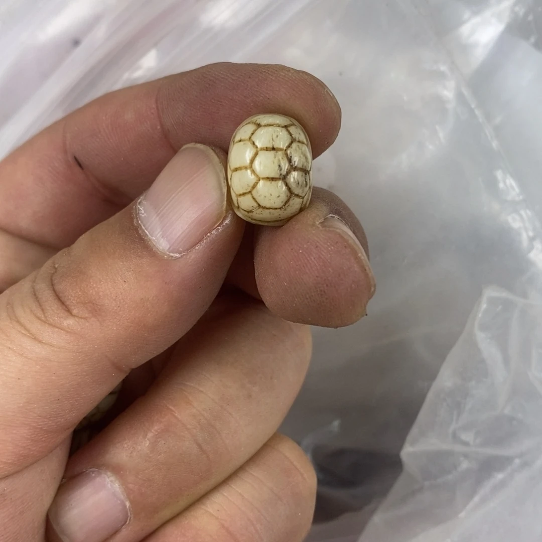 手串/手链驼骨配饰205