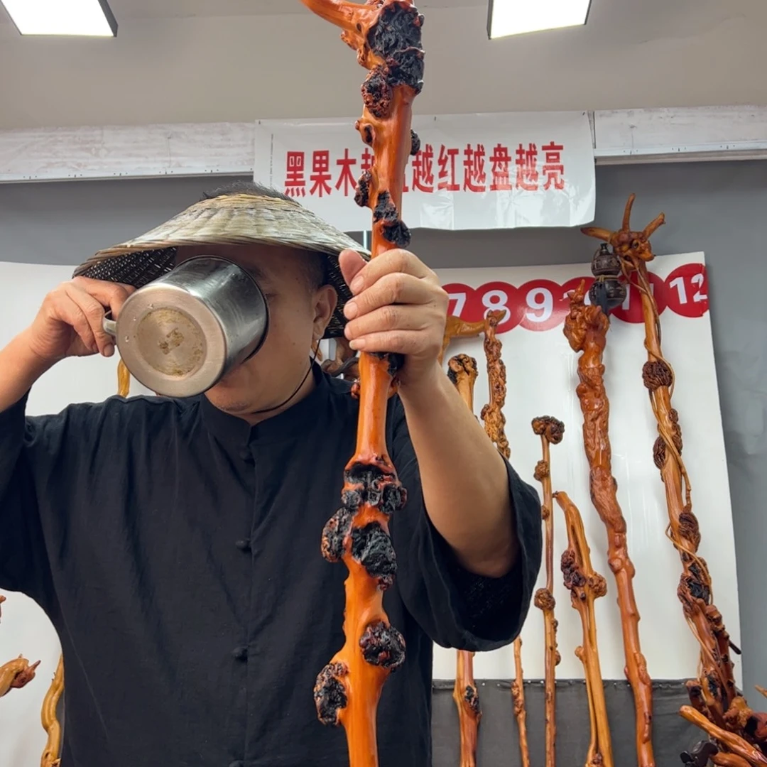 伍***芳黑果木其他黑果木601