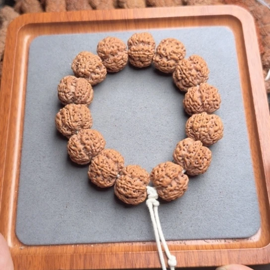 菩提31号尼泊尔大金刚24+蜂窝