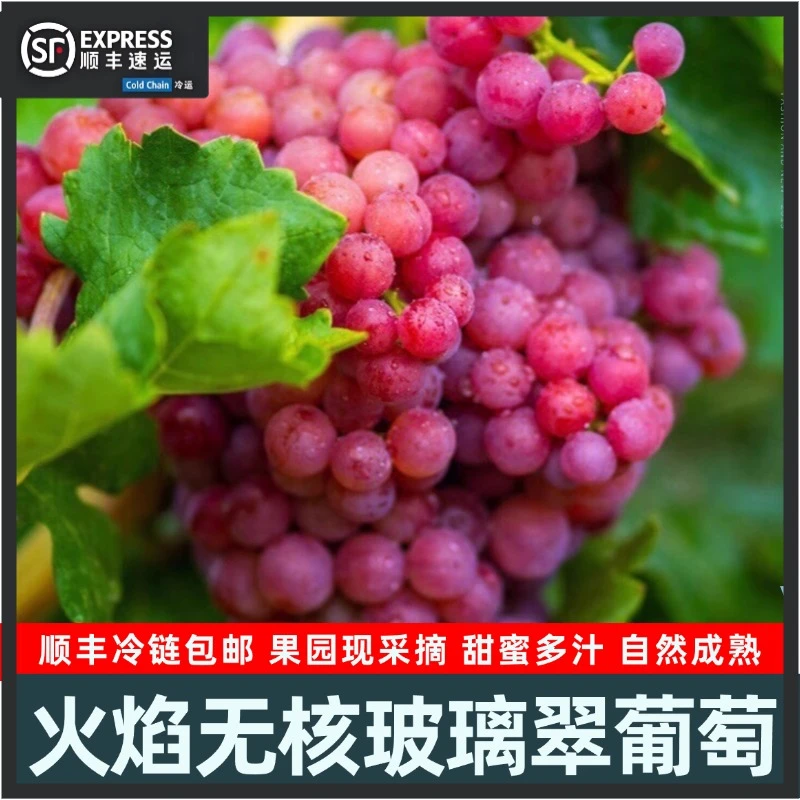 [顺丰包邮]新疆吐鲁番玻璃脆葡萄冷链发货自然成熟甜蜜可口饱满