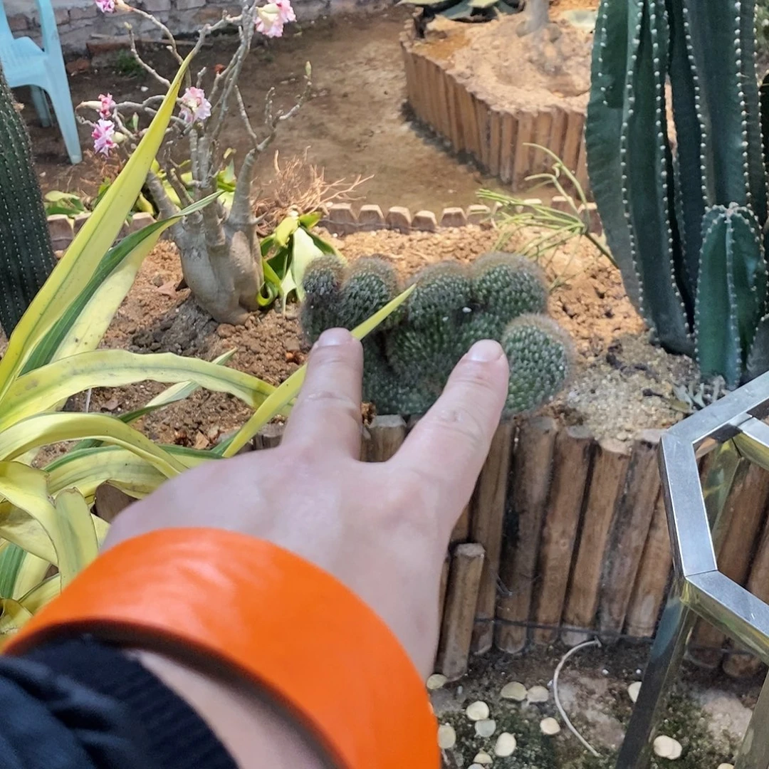 9***700000000000000000000