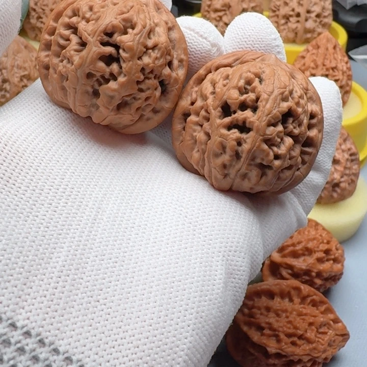 核桃精品40尺凤凰台