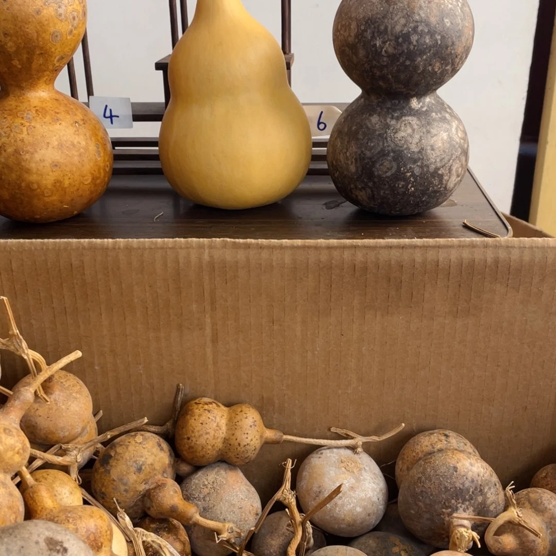 香榧木暖**?葫芦葫芦