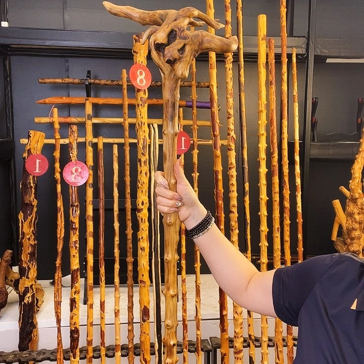 鹤**人好好好好好好好好