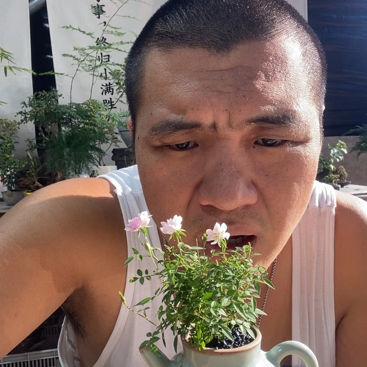 无花朵退款拉黑拉黑115