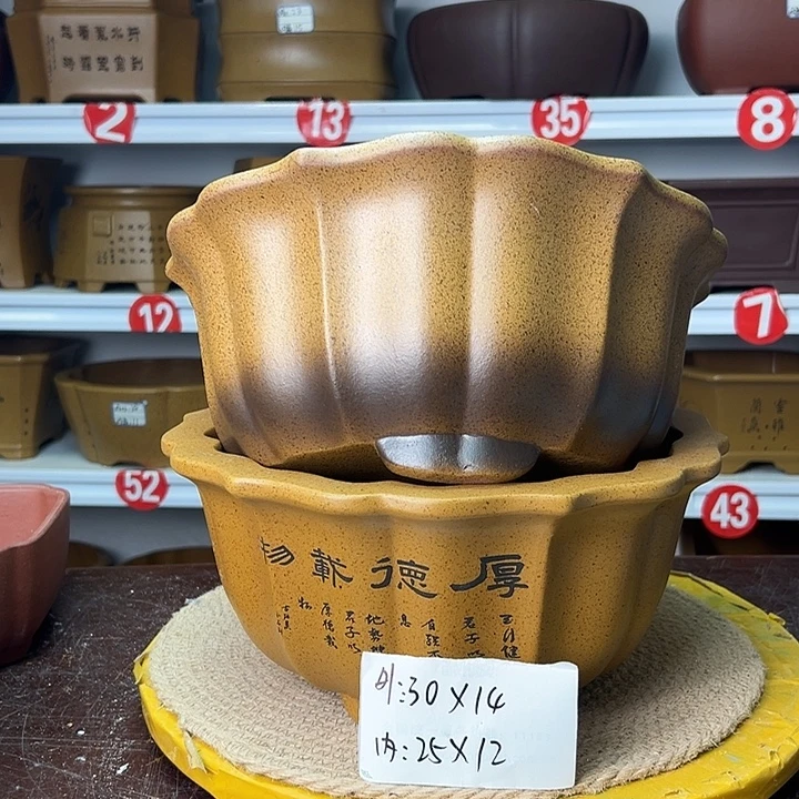 花盆紫砂你在一起