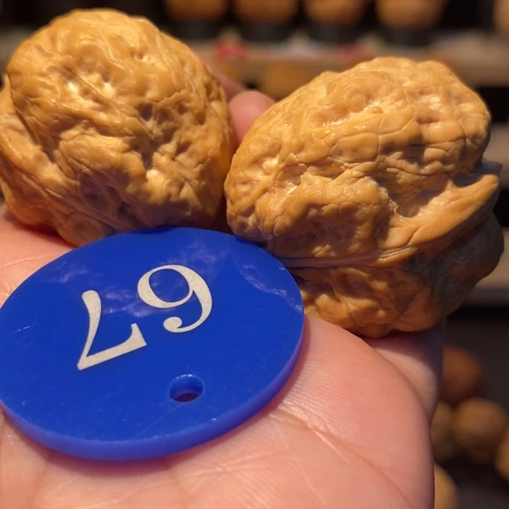 木质类金蟾十八包35尺寸