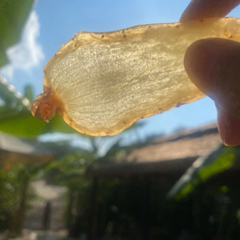 云南精选红芽天麻无硫可煲汤泡酒泡水