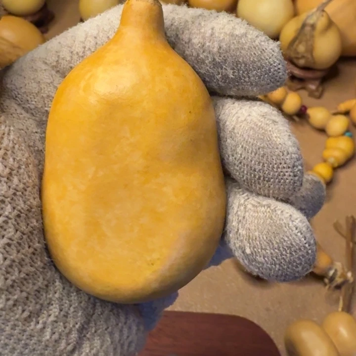 世***尘葫芦1111111111111