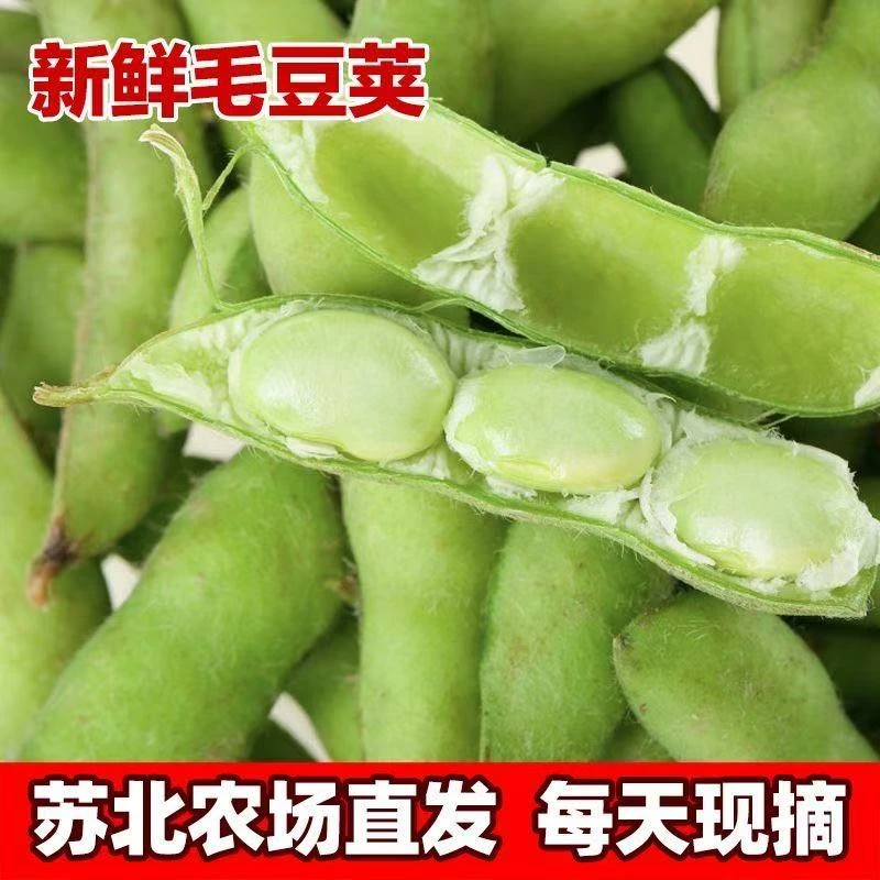 g农家新鲜带壳毛豆翠绿饱满现摘现发
