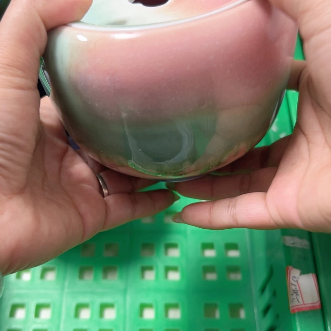 碟没****猫，杯杯杯杯杯杯杯杯杯