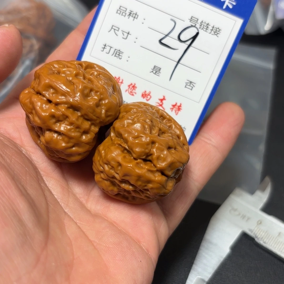 核桃其他蛤蟆头的