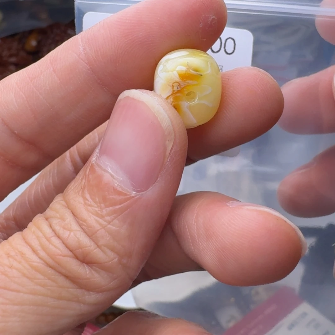 琥珀未镶嵌裸石琥珀