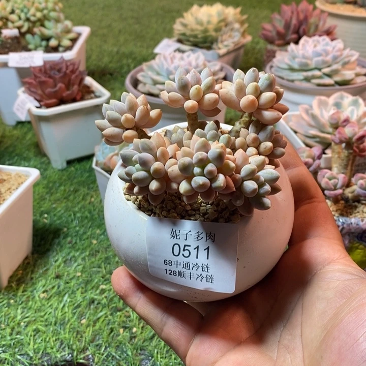 0511啊啊啊啊啊啊啊啊啊