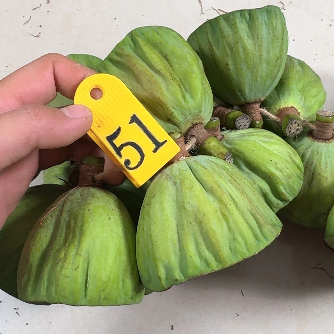 于***万鲜的大的一串22个小的26个
