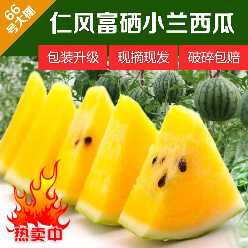 特小凤小西瓜当天现摘现心瓤脆甜冰淇淋口感新鲜水果手剥西瓜黄皮