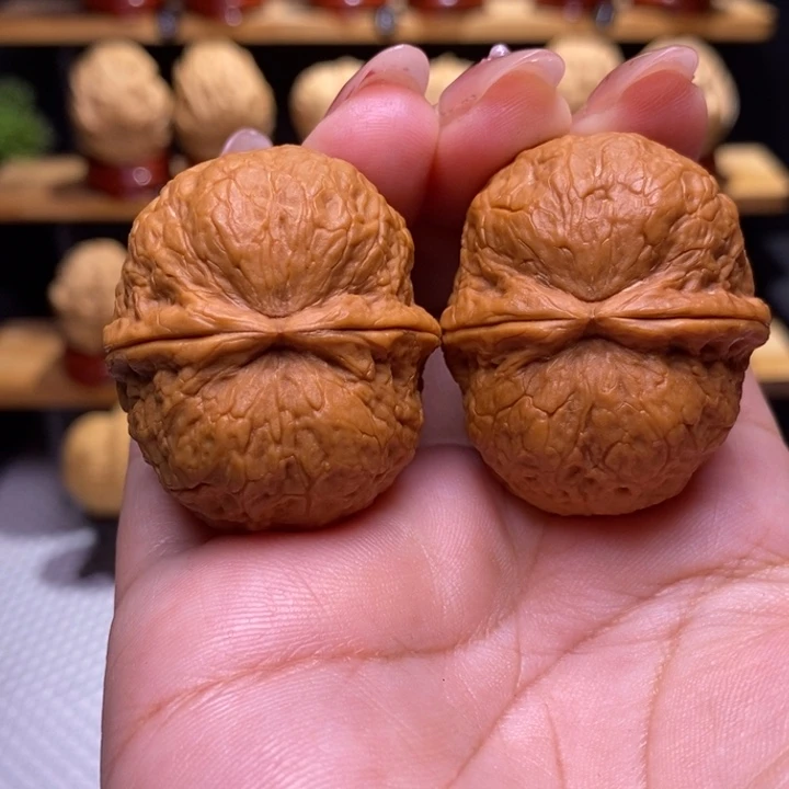 木质类云铁保山化石22号39尺