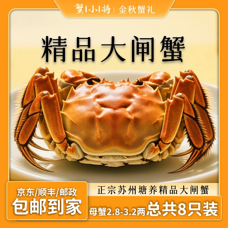 精品大闸蟹 全母蟹2.8-3.2两 8只装