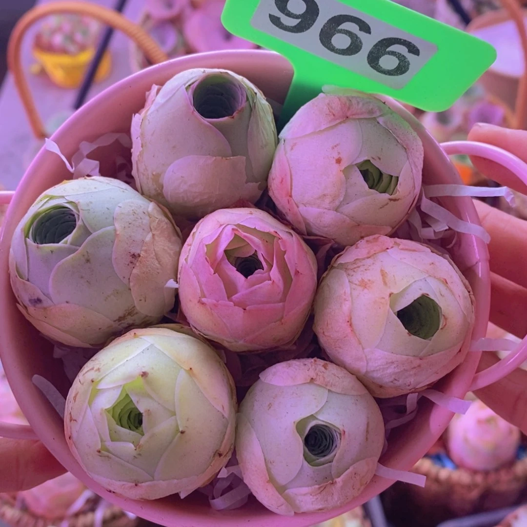 966山地玫瑰一物一拍花桶