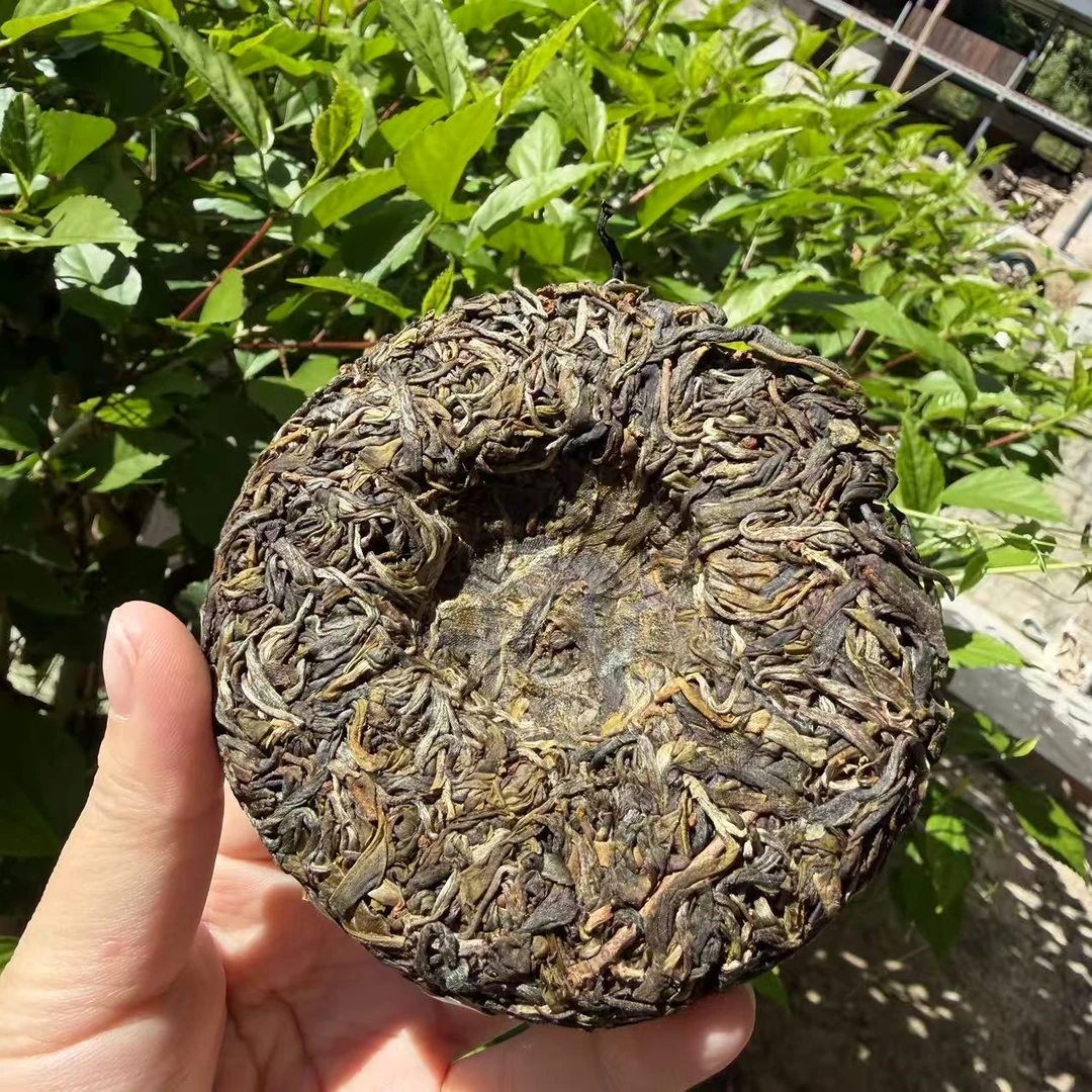 【鑫说】云南普洱·2025年御品曼松一类小叶种古纯生普饼100克（金奖）