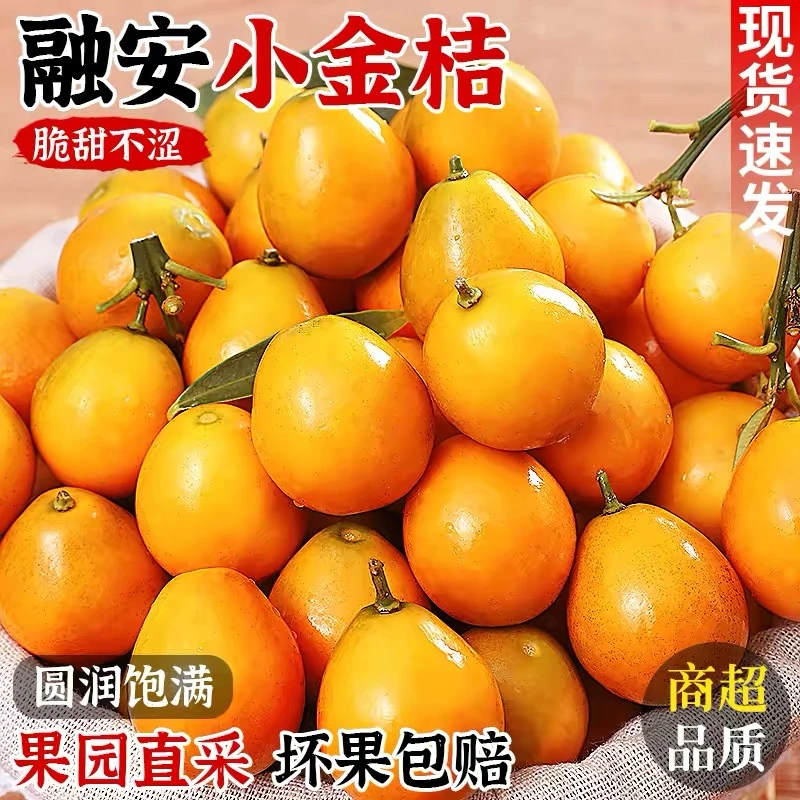 【顺丰包邮】融安脆蜜金柑广西正宗第三代脆蜜金桔无子无核新鲜水果整箱广西壮族自治区