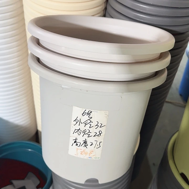 四季6#灰白5个无托