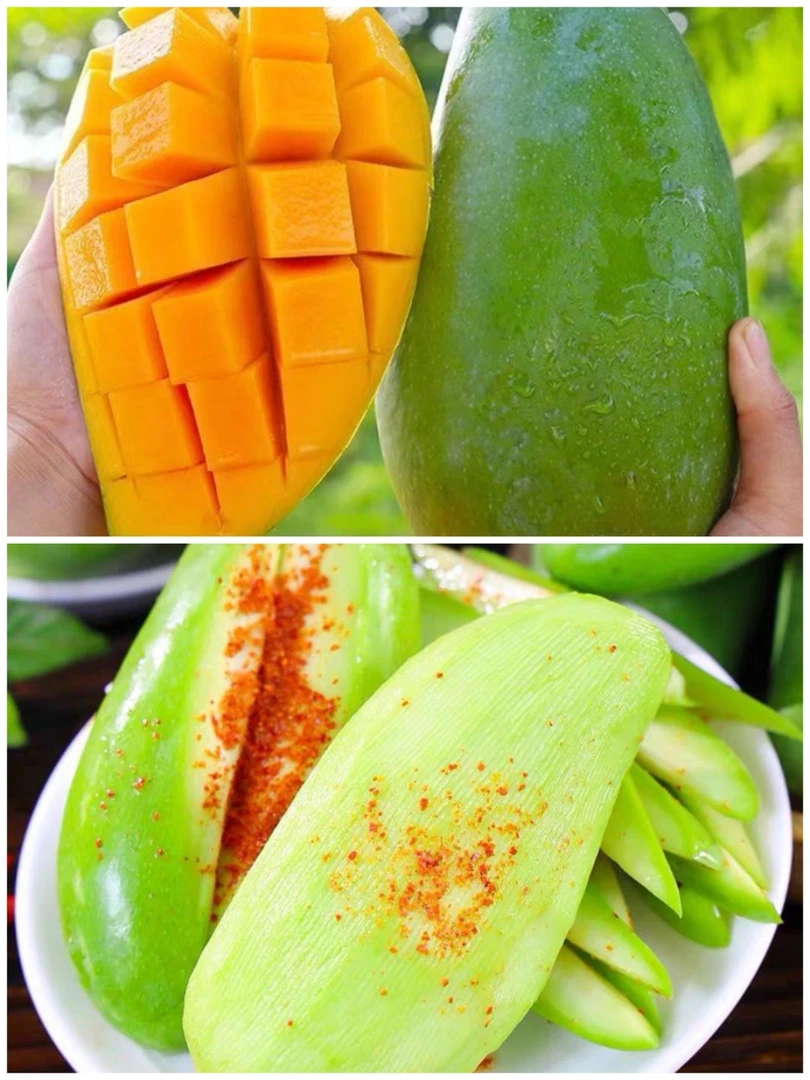 【一公斤】正宗越南进口大青芒脆青芒甜心芒果【生熟两吃】