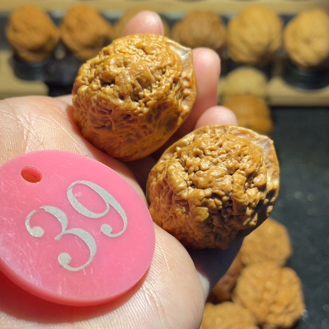 血舍利核桃34。