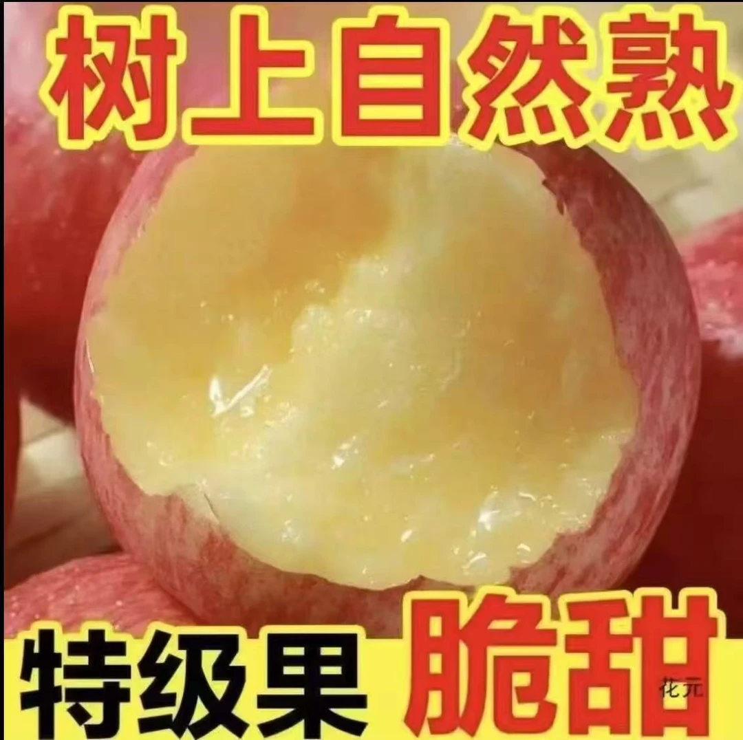 2025年正宗红富士正宗红富士脆甜多汁农场直销