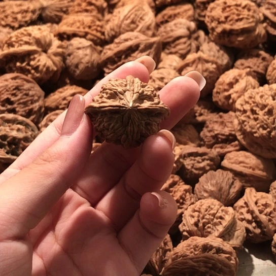 娃***鱼桃核吊坠核桃核桃核桃