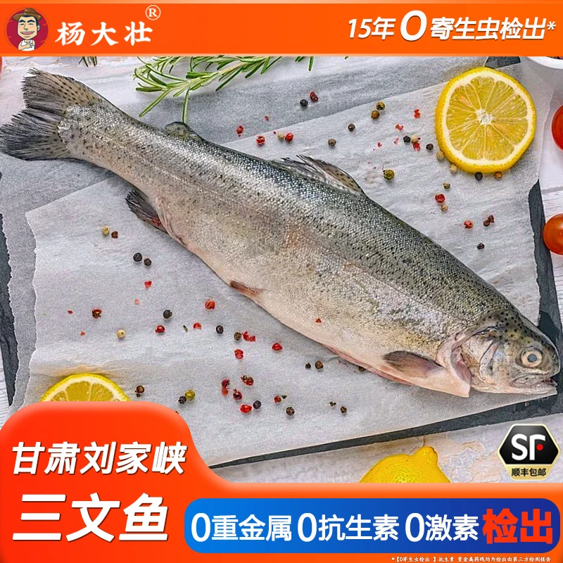 冰鲜国产三文鱼甘肃刘家峡高品质生食虹鳟鱼整条分割刺身顺丰同城
