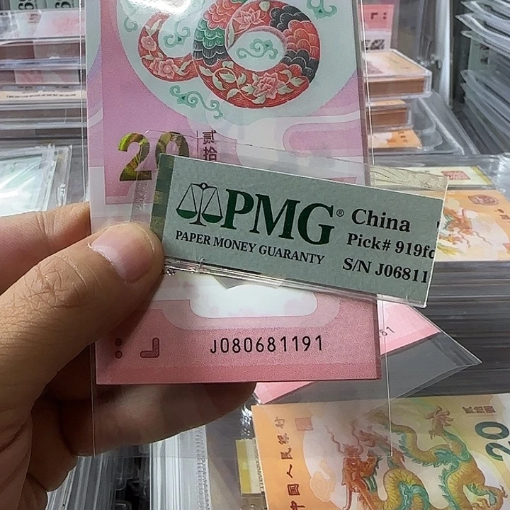 塑料蛇钞080681191标十包PMG