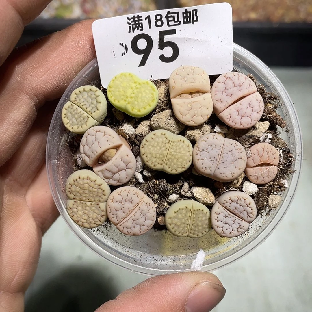 当天凑满十八元包邮95