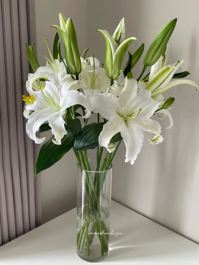 （云南鲜花玫瑰百合西伯利亚4枝保8个花苞，一单包邮，两单升级冷链！