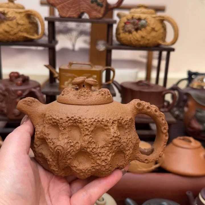 小***士茶宠紫砂福利多多