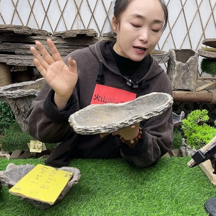 盆景异形花盆鱼缸w30