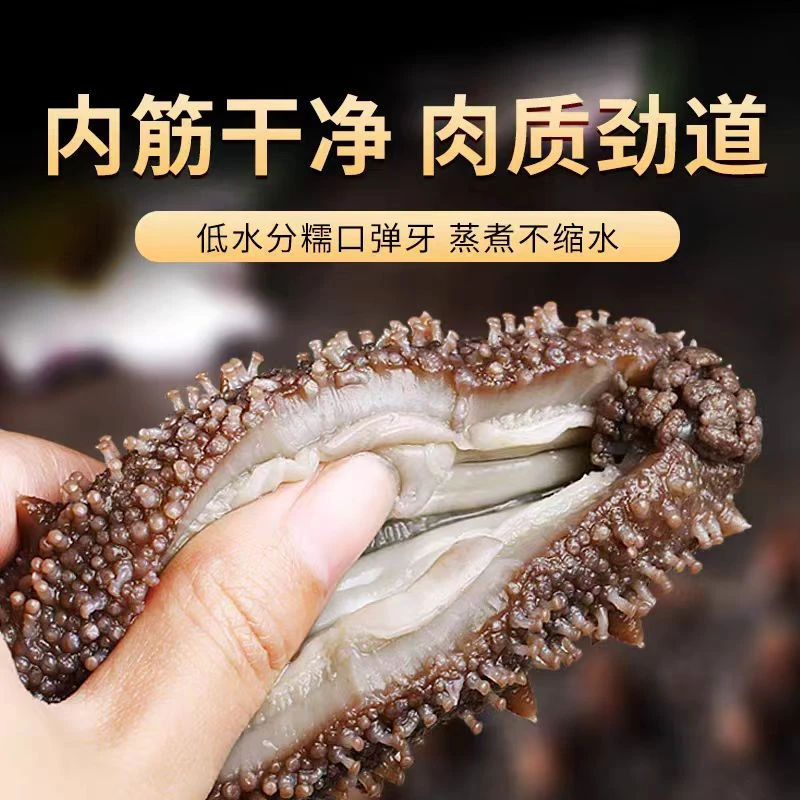 新店活动价底播鲜食海参营养美味10头500g