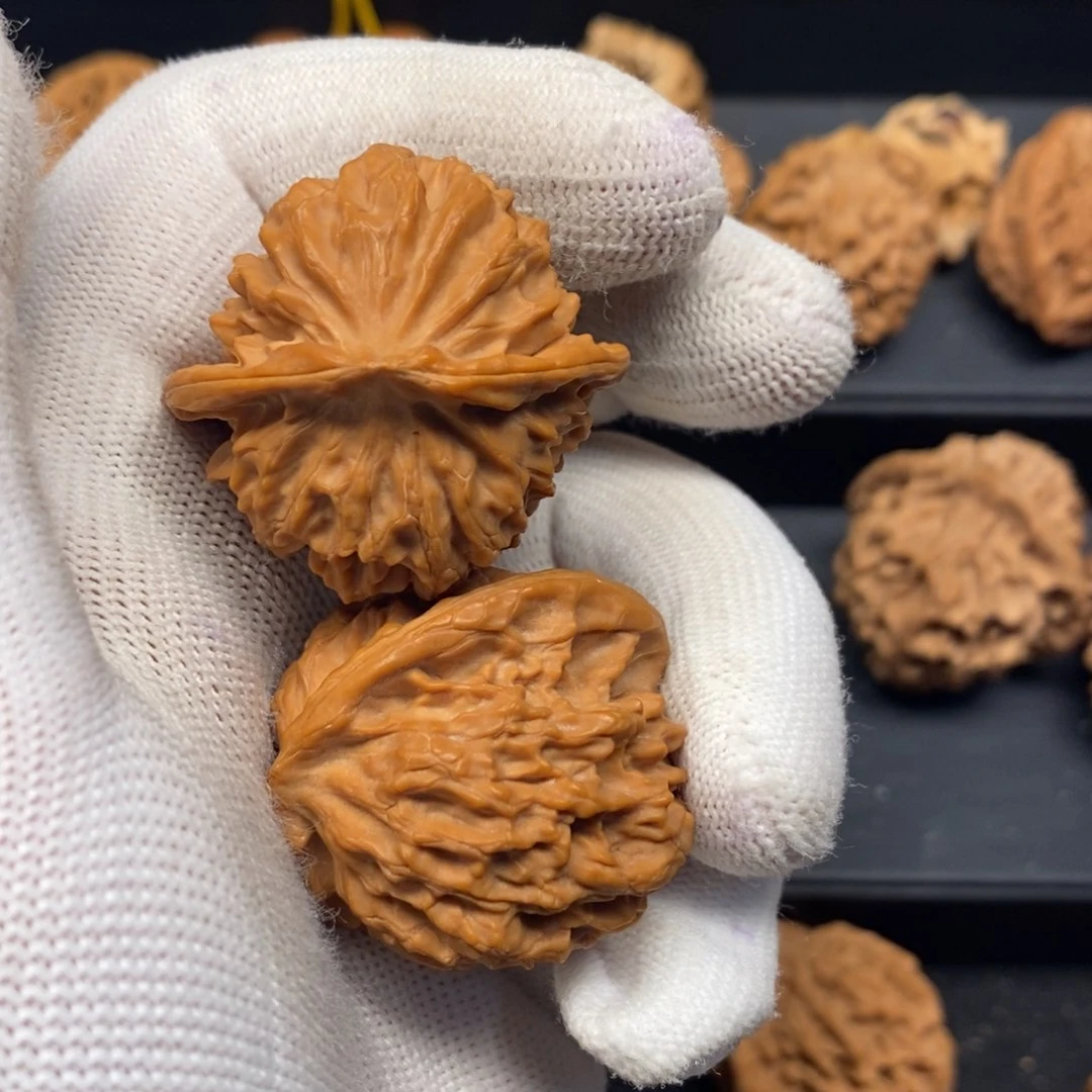 秦岭南北缘是指长江北岸