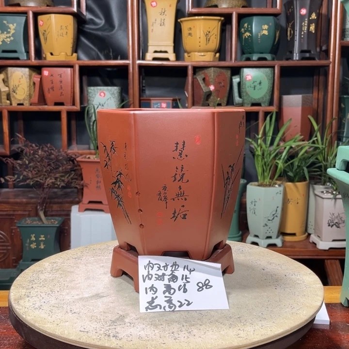 用****2关注陶霸廊精品紫砂