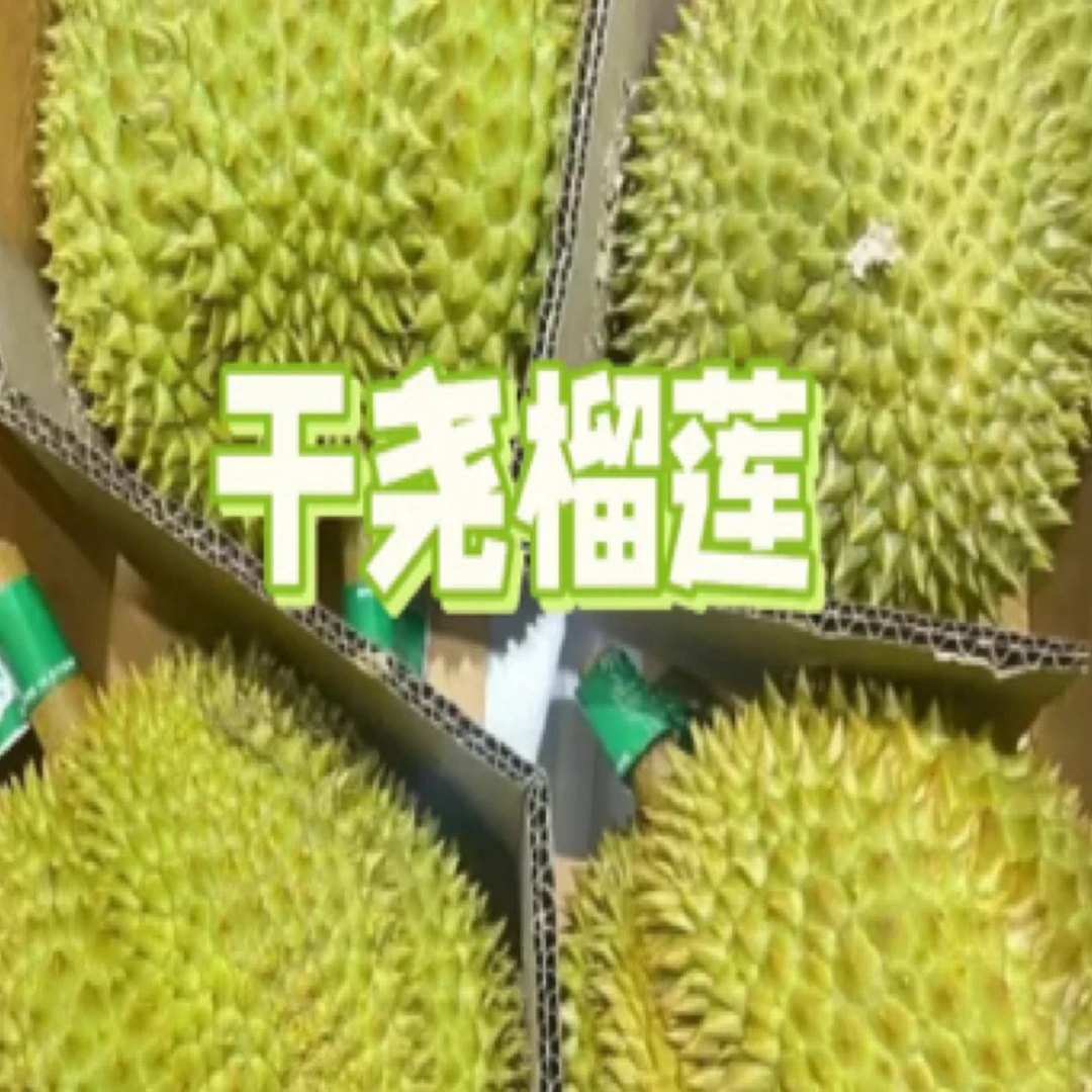 东北三省顺丰包邮新鲜干尧榴莲A级一箱4粒16-18斤核大干尧越南社会主义共和国