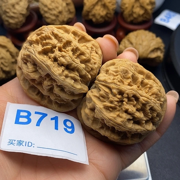 勇***前把件文玩核桃粗筋4.8