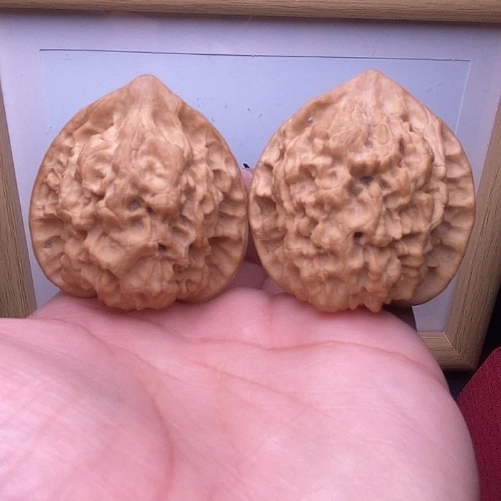 核桃全品小尺官帽