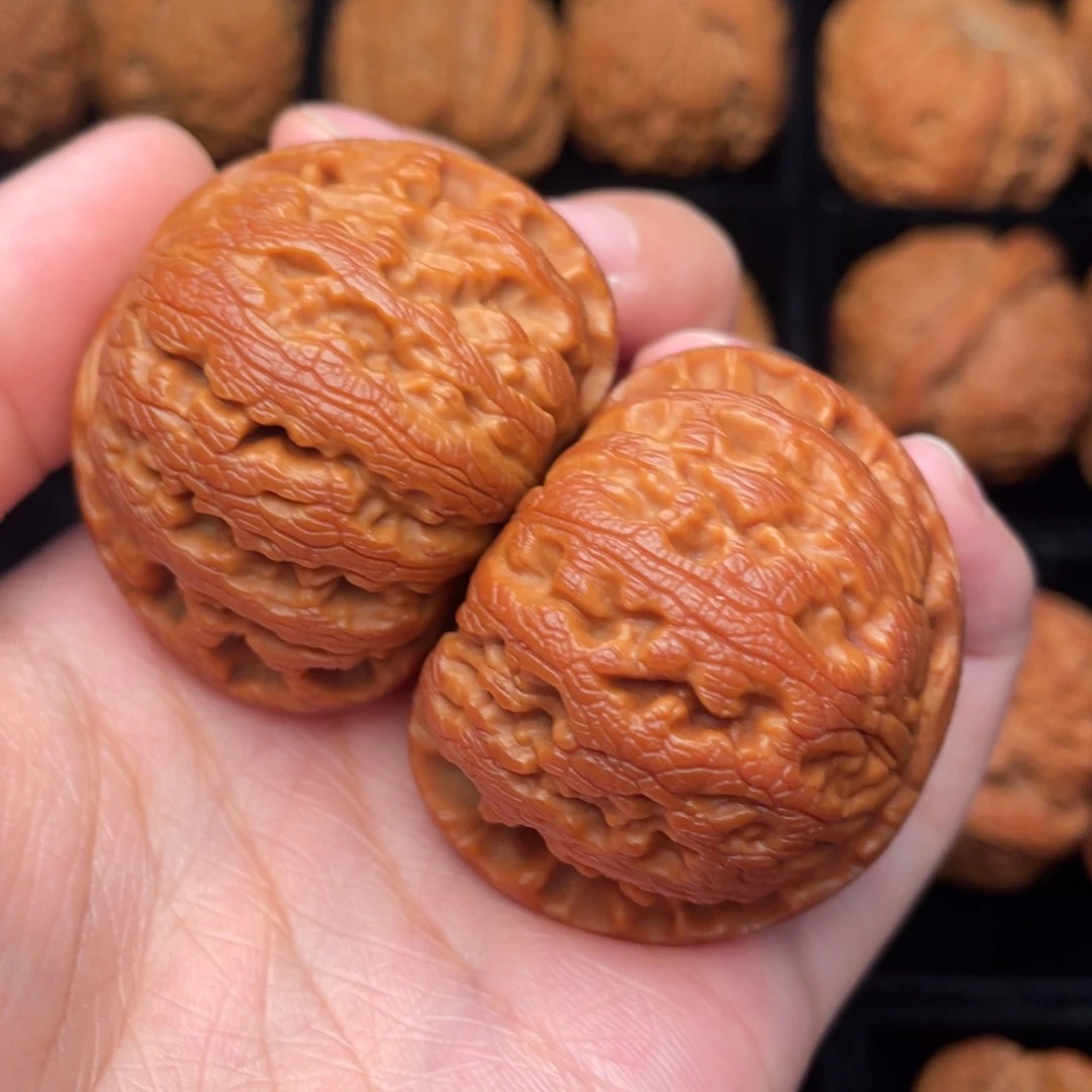 秦岭野生文玩核桃