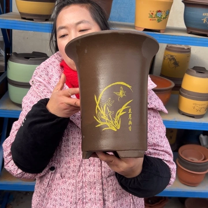 21紫泥印金兰花盆花盆花盆