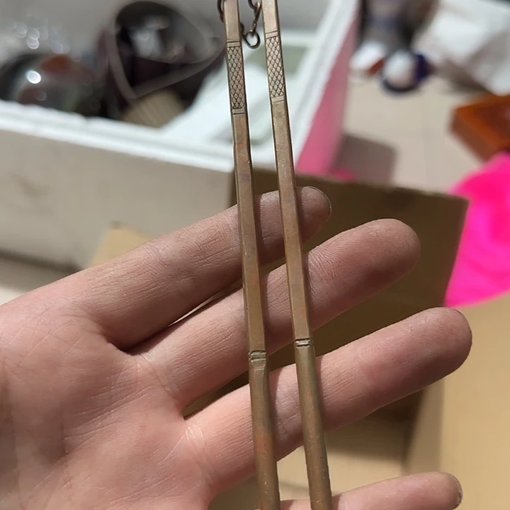 贝壳杉一**往Cvcbghghghgbg