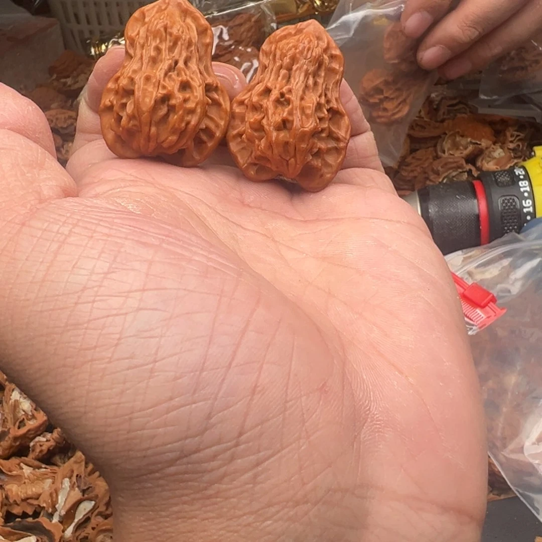 桃核把件葫芦葫芦全尺寸