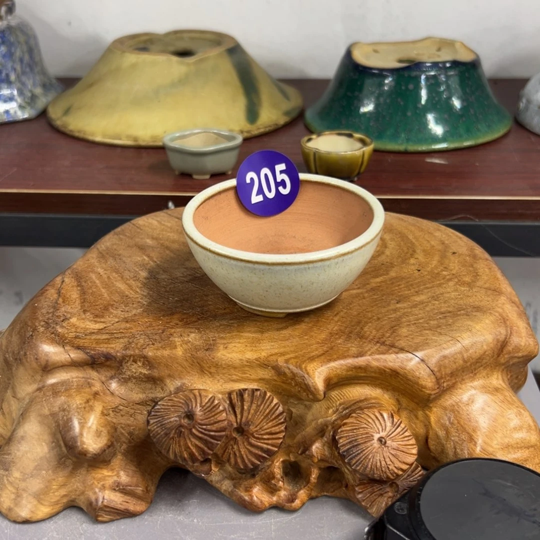 红陶刘*轻轻一点，直接输入205