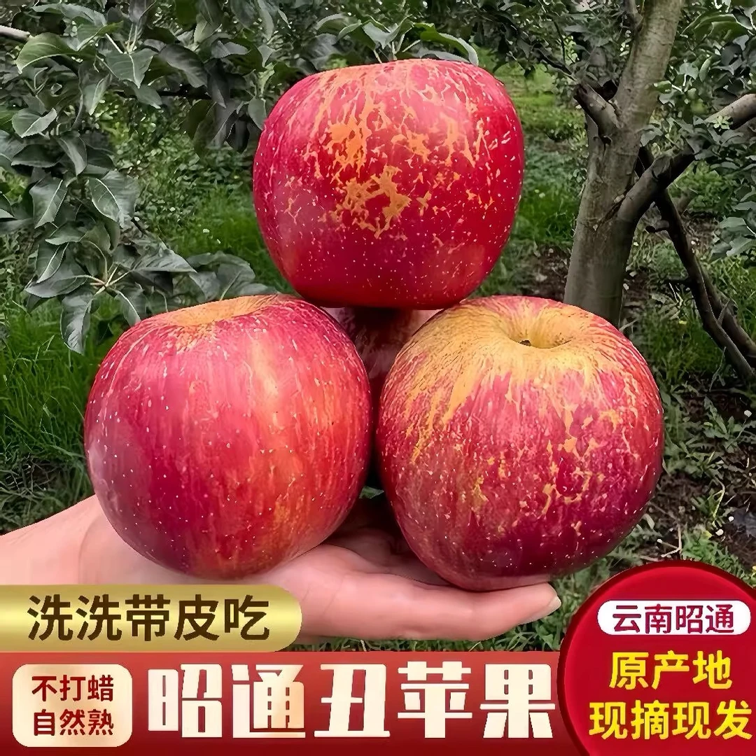 DD云南昭通冰糖心丑苹果脆甜多汁现摘新鲜红富士水果